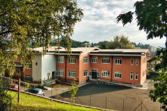 Bosco-6