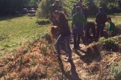IMG-20170421-WA0007