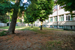 Pascoli-8